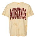 Mustangs